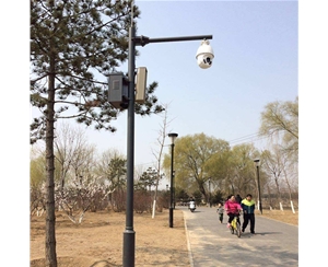 金昌路灯监控杆-LB-03